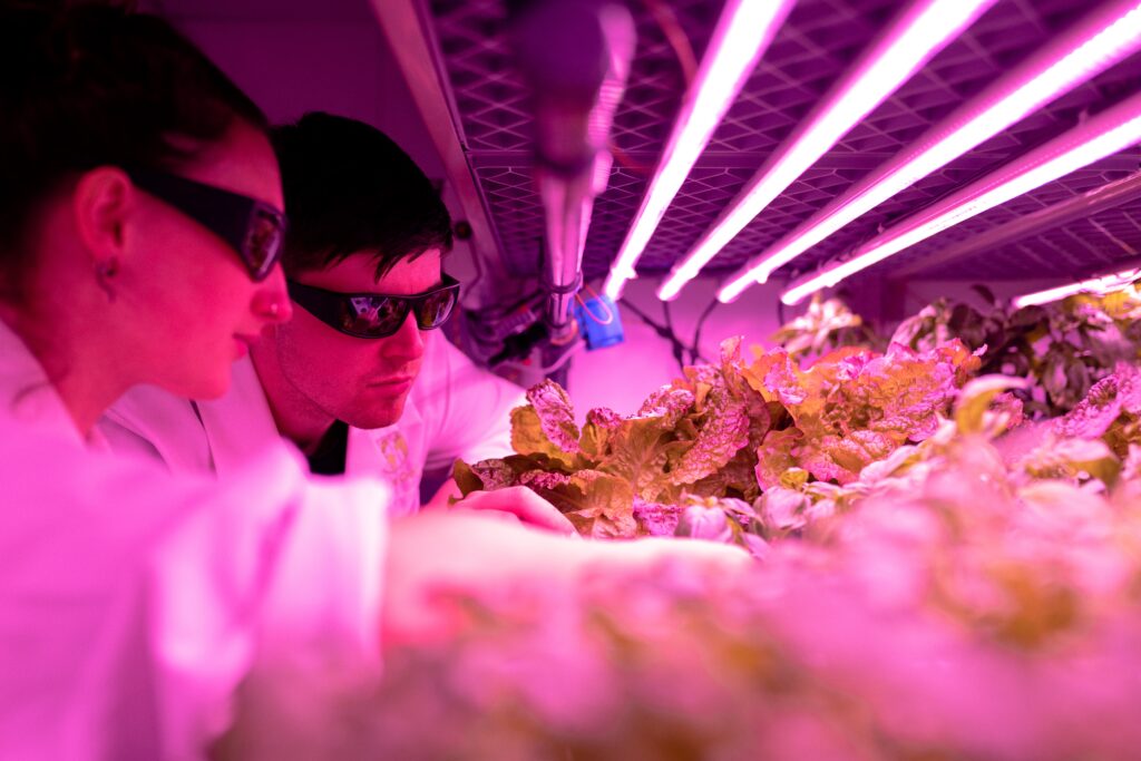 2 students checking on plants - agriculture technology