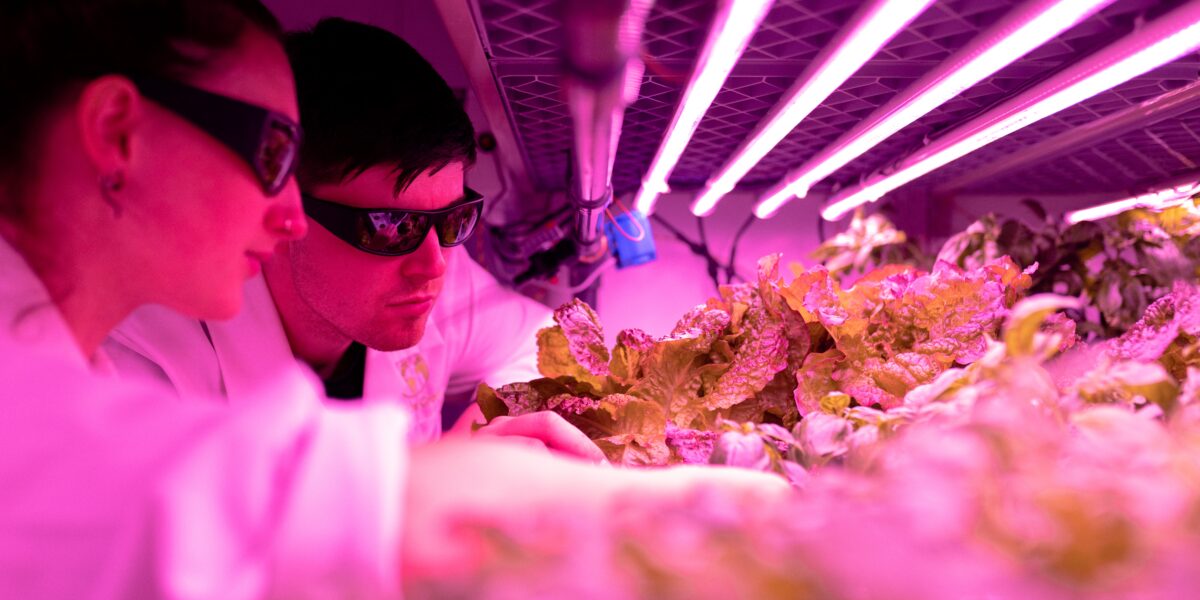 2 students checking on plants - agriculture technology