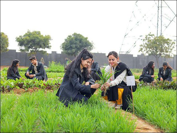 BSc agriculture career